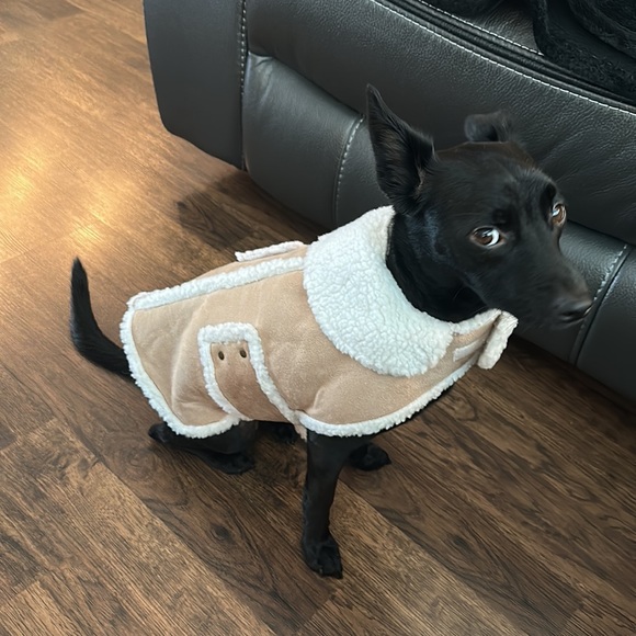 Dog coat Faux Sherpa M - Picture 3 of 10